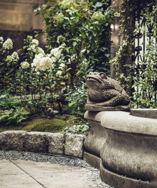 Rose bed and stone fountain in the Grand Ferdinand courtyard.